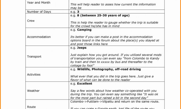 Forensic Audit Report Template with Forensic Accounting Report Template