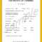 Forklift Training Certificate Template in Forklift Certification Template