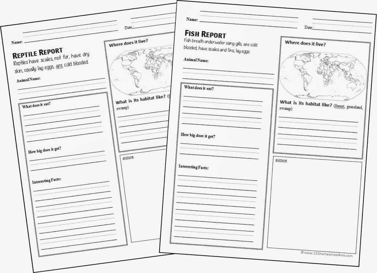 Free Animal Report Form Printable | 123 Homeschool 4 Me Pertaining To Animal Report Template