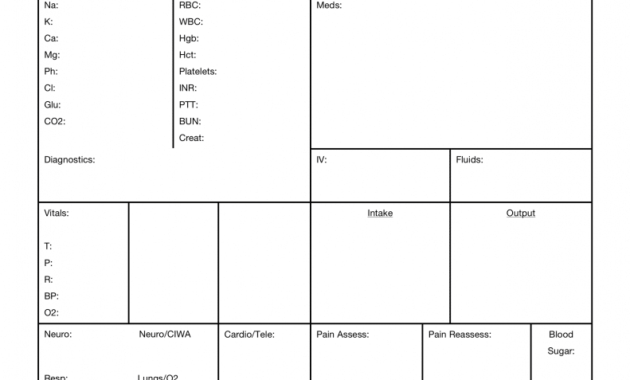 Free Download! This Nursejanx Store Download Fits One with Nursing Report Sheet Templates