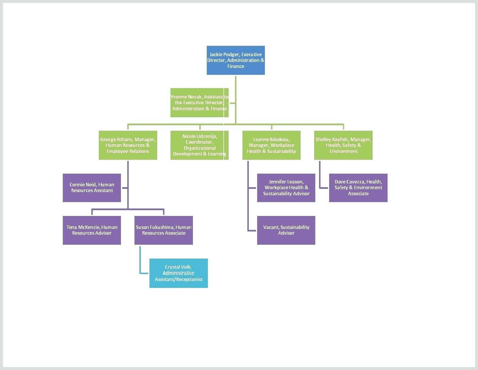 Free Org Chart Template – Bluedotsheet.co Inside Org Chart Template Word