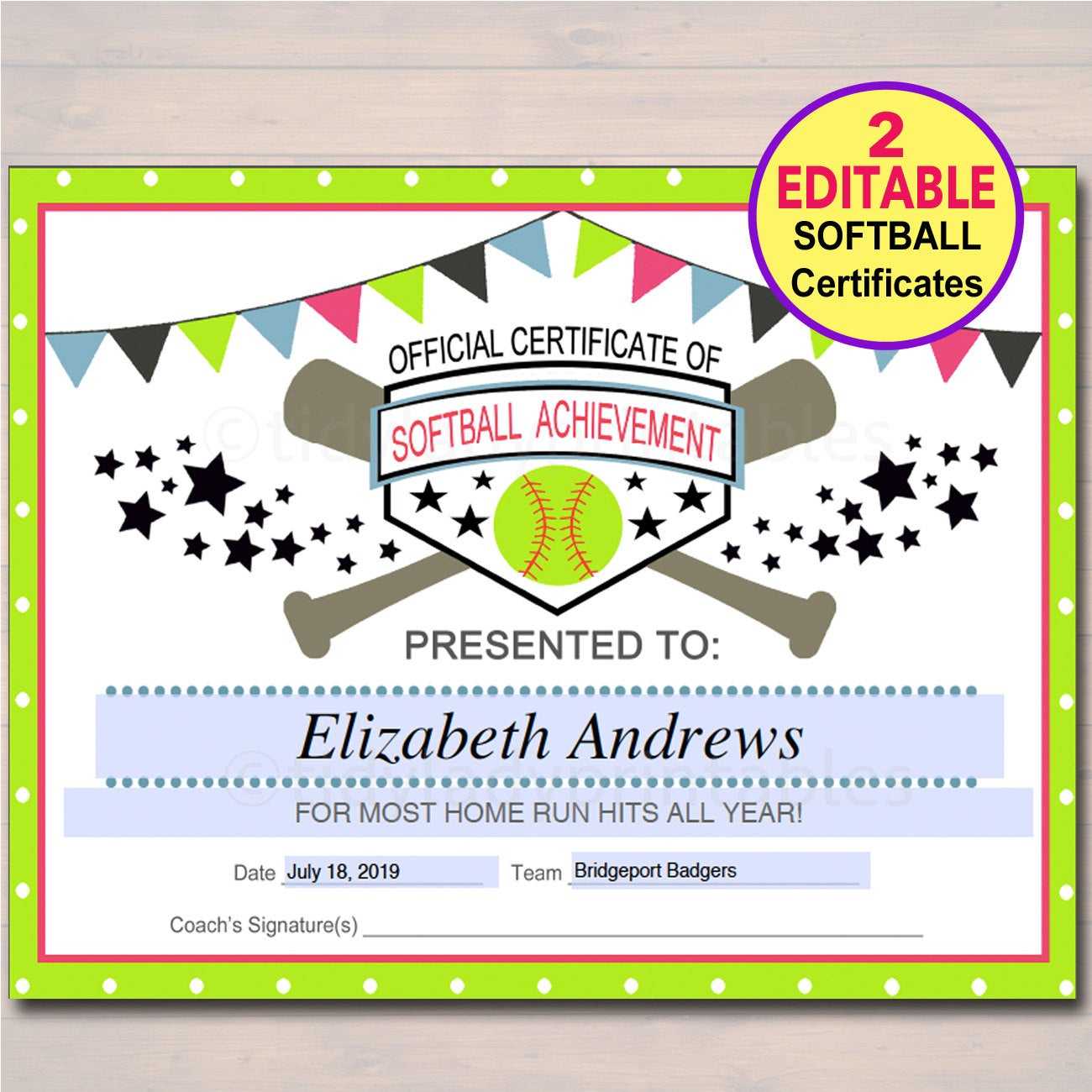 Free Softball Award Certificate Templates Throughout Softball Certificate Templates Free