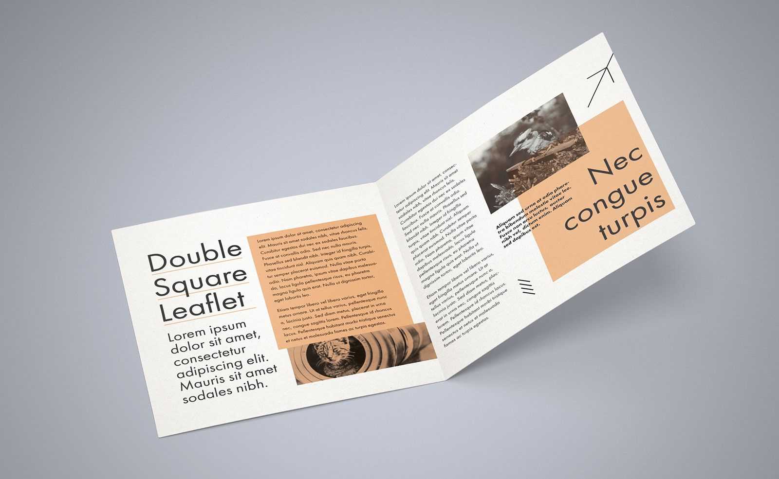 Free Square Bi Fold Brochure Mockup Psd File 2 | Bi Fold With 2 Fold Brochure Template Psd