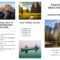 Free Travel Brochure Templates & Examples [8 Free Templates] In Travel Brochure Template Ks2