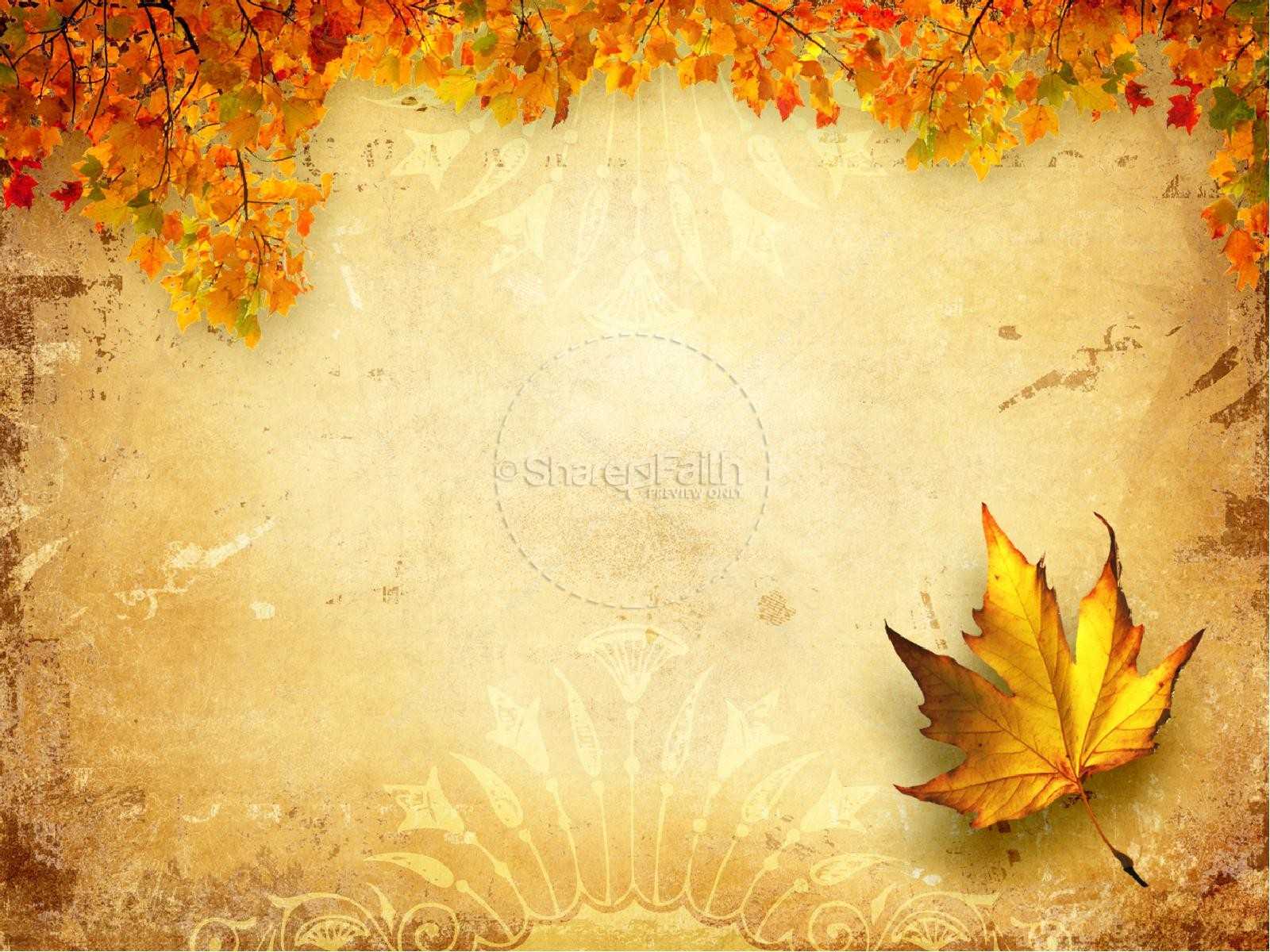 Fresh Pics Of Free Thanksgiving Powerpoint Templates Fall In Free Fall Powerpoint Templates