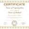 General Purpose Certificate Or Award With Sample Text That Can.. In Template For Certificate Of Award