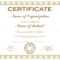 General Purpose Certificate Or Award With Sample Text That Can.. Throughout Academic Award Certificate Template