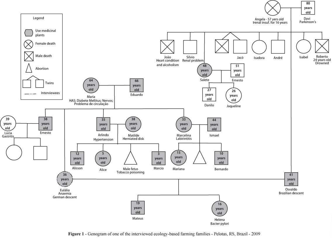 Genogram | Psych/therapy | Genogram Template, Social Work Pertaining To Genogram Template For Word