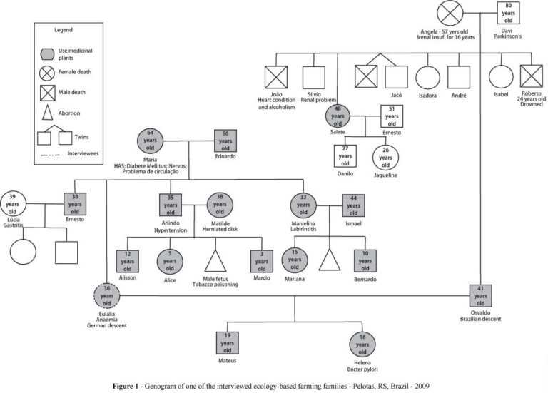 genogram therapy psych regard somaek genograms