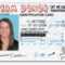 Georgia Id Card Template | 11+ Template Ideas inside Georgia Id Card Template