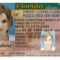 Here's A Sample Of A Fake Florida Id Card That's Solda within Florida Id Card Template
