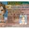 Here's A Sample Of A Fake Florida Id Card That's Solda Within Florida Id Card Template