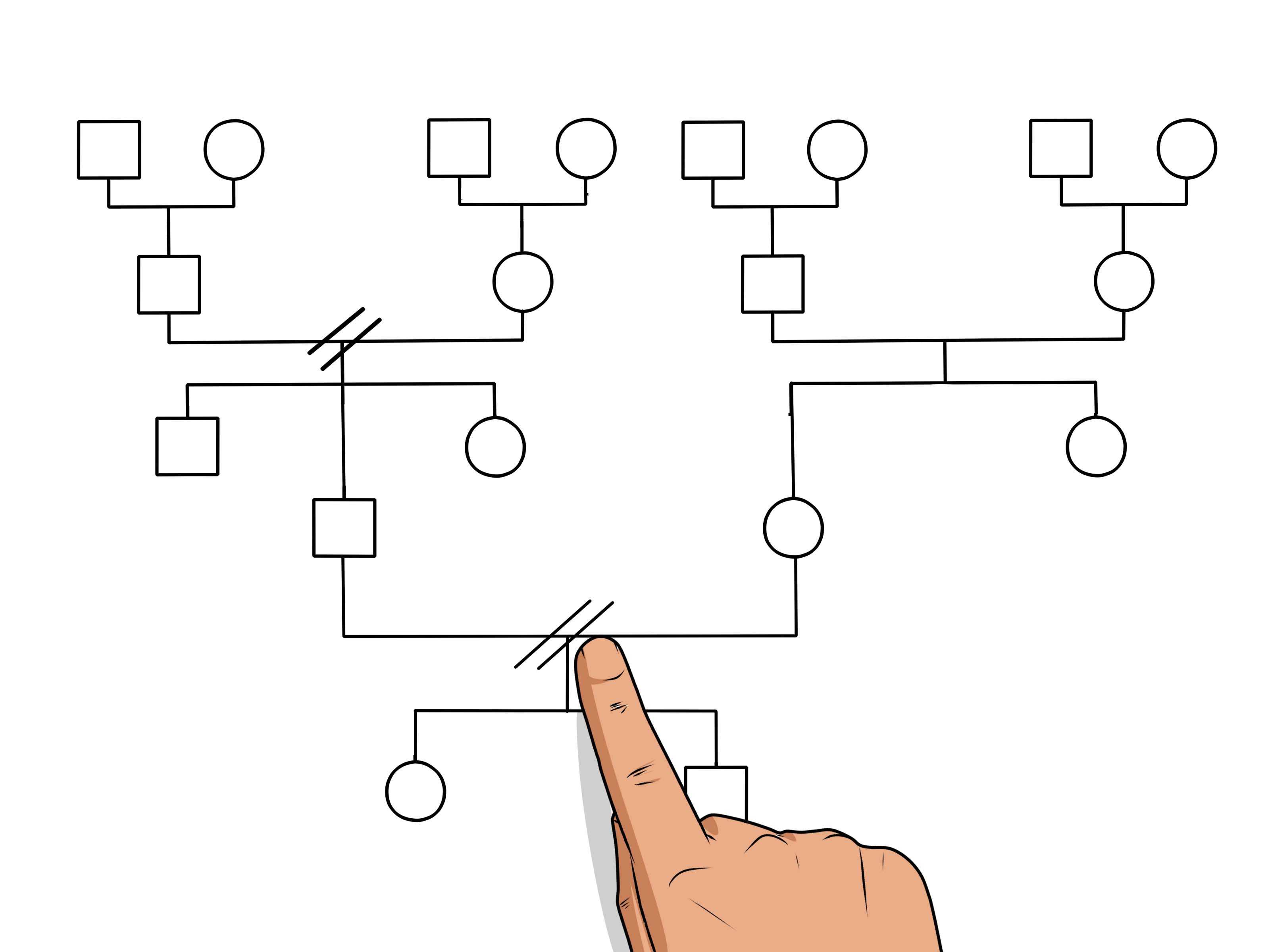 How To Make A Genogram: 14 Steps (With Pictures) – Wikihow Pertaining To Genogram Template For Word