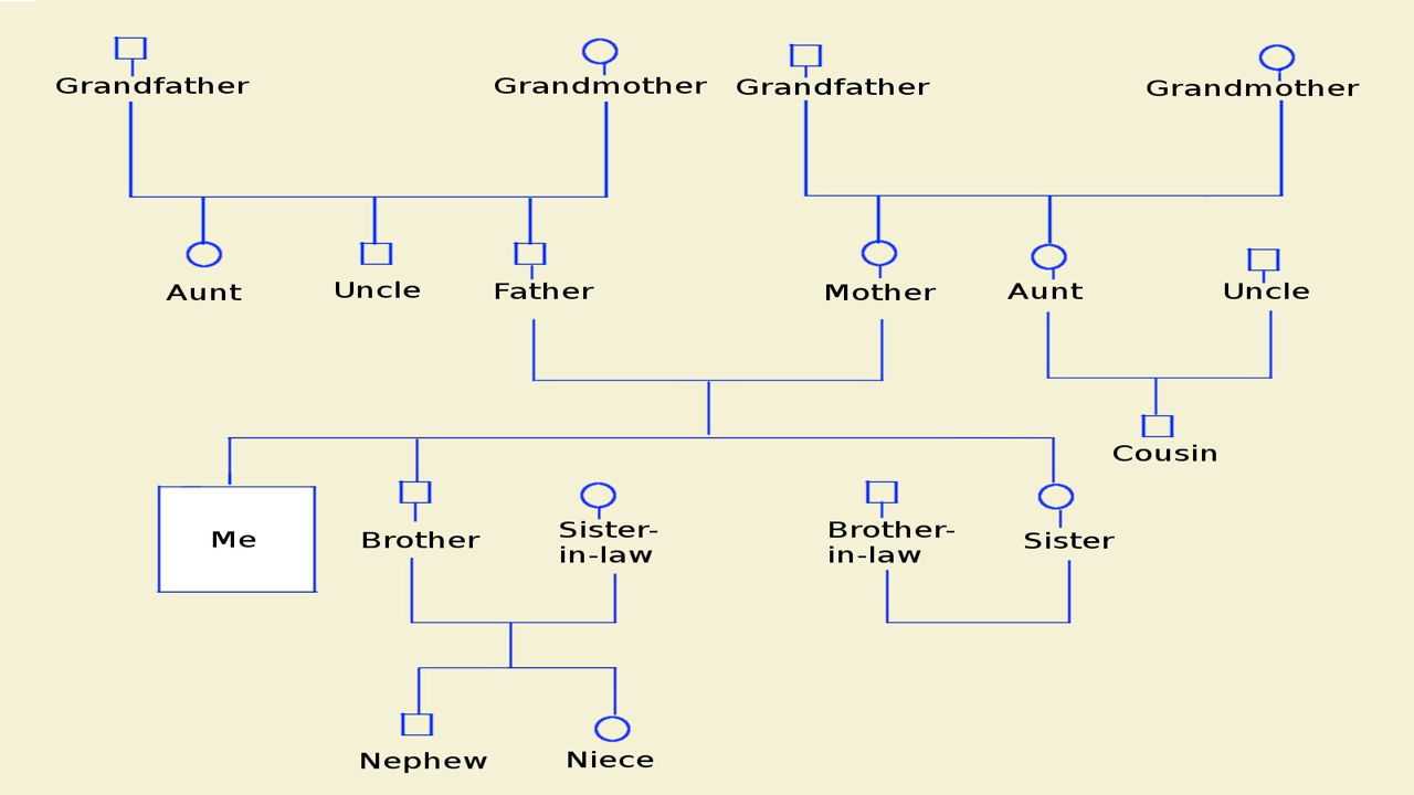 How To Make A Genogram Using Microsoft Word Pertaining To Family