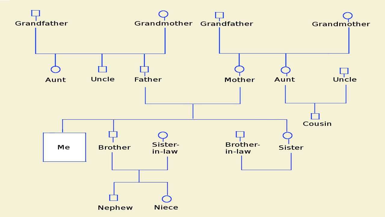 How To Make A Genogram Using Microsoft Word Pertaining To Family Genogram Template Word