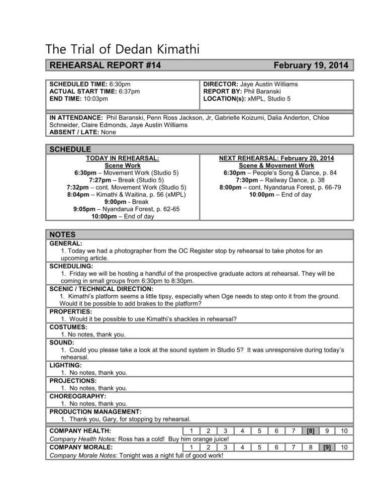 Rehearsal Report Template