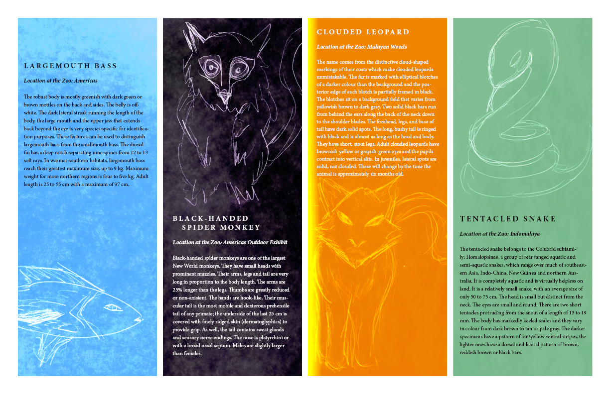 Indesign Projects | Timothy Rose Throughout Zoo Brochure Template