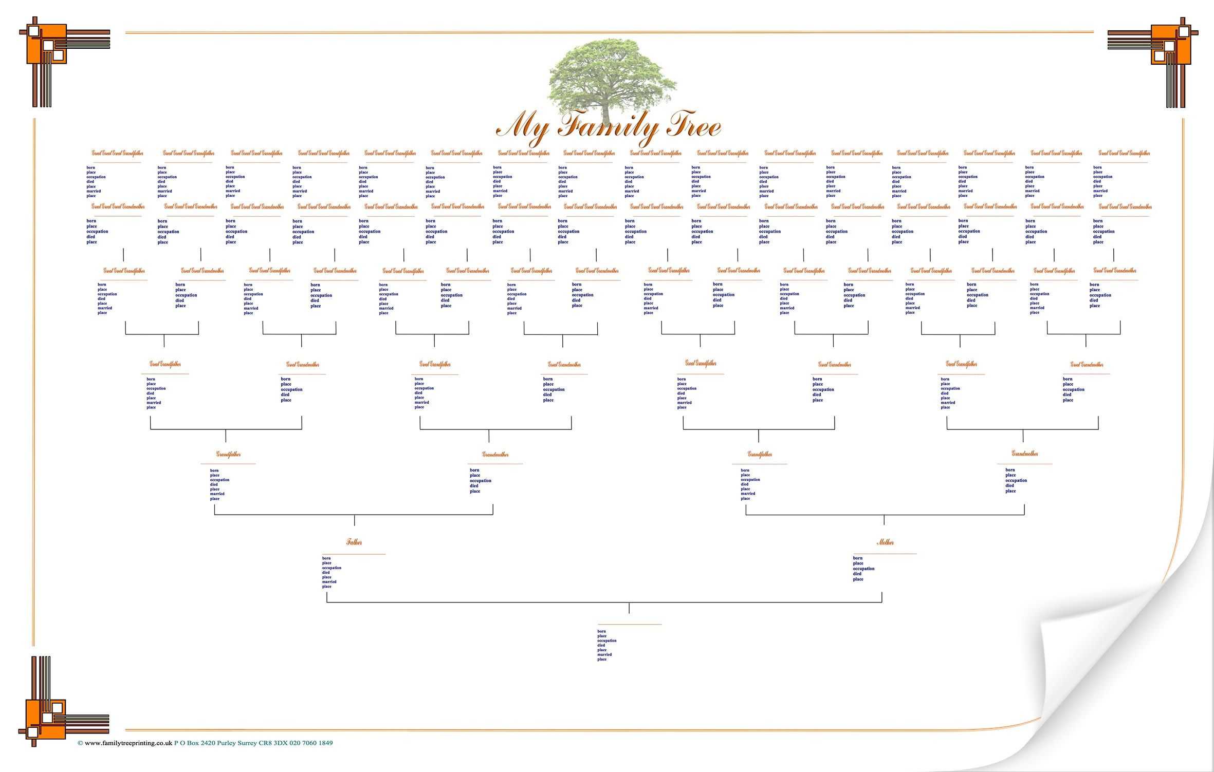 Large Blank Family Tree Chart | Family Tree Display Options Within Blank Tree Diagram Template