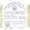 Masonic Certificate Template Free | Certificatetemplatefree Throughout Life Membership Certificate Templates