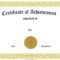 Mock Certificate Template - Atlantaauctionco intended for Mock Certificate Template