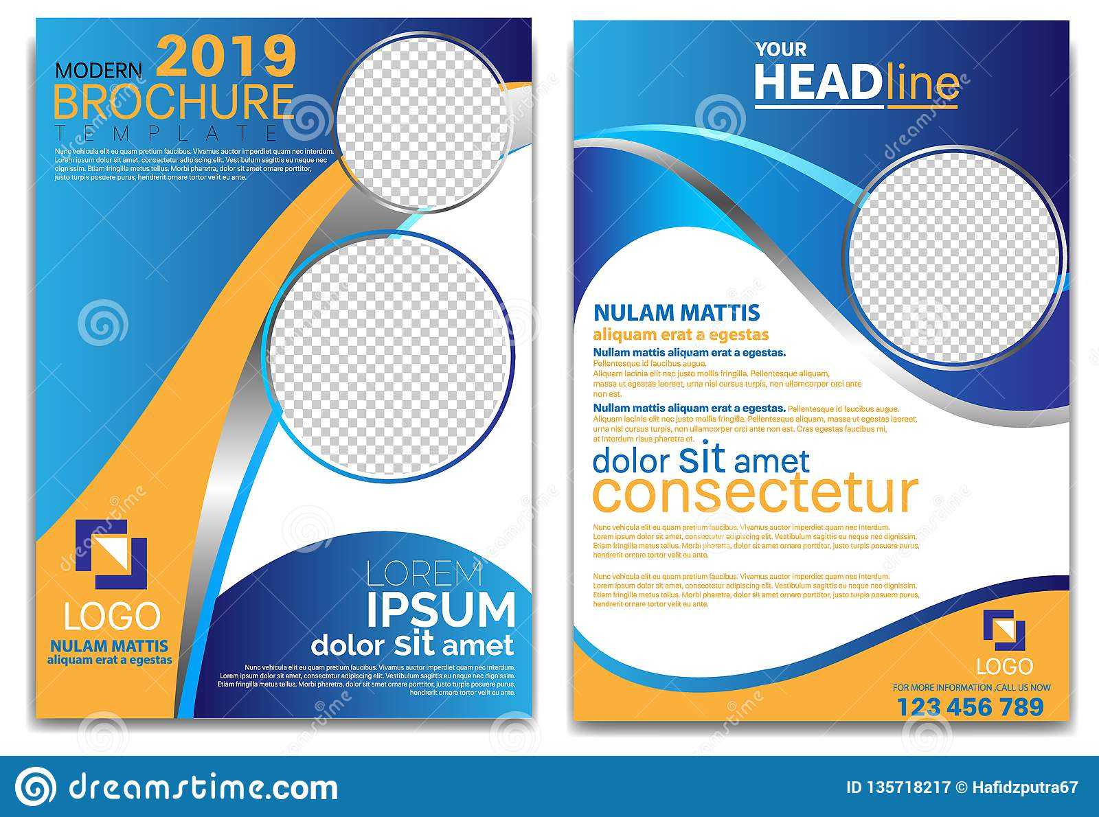 Modern Brochure Template 2019 And Professional Brochure Within Professional Brochure Design Templates