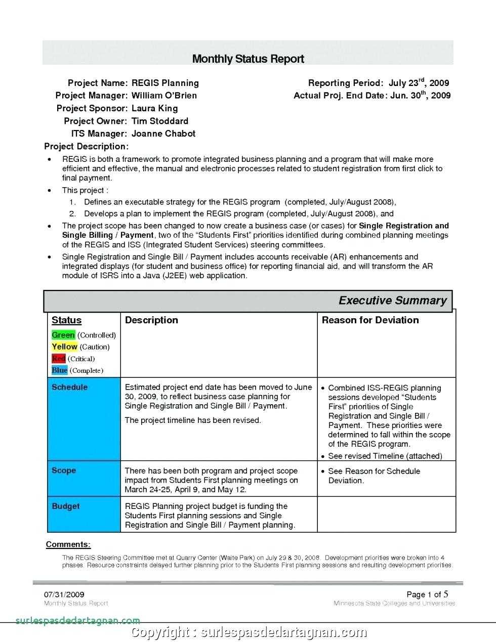 Monthly Executive Report Template – Diadeveloper Regarding Executive Summary Project Status Report Template