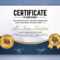 Multipurpose Professional Certificate Template Design For Print Regarding Professional Award Certificate Template