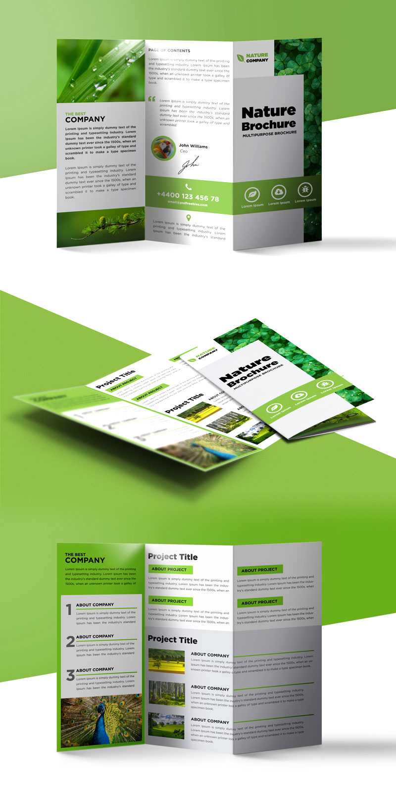 Nature Tri Fold Brochure Template Free Psd | Psdfreebies Regarding 3 Fold Brochure Template Psd Free Download