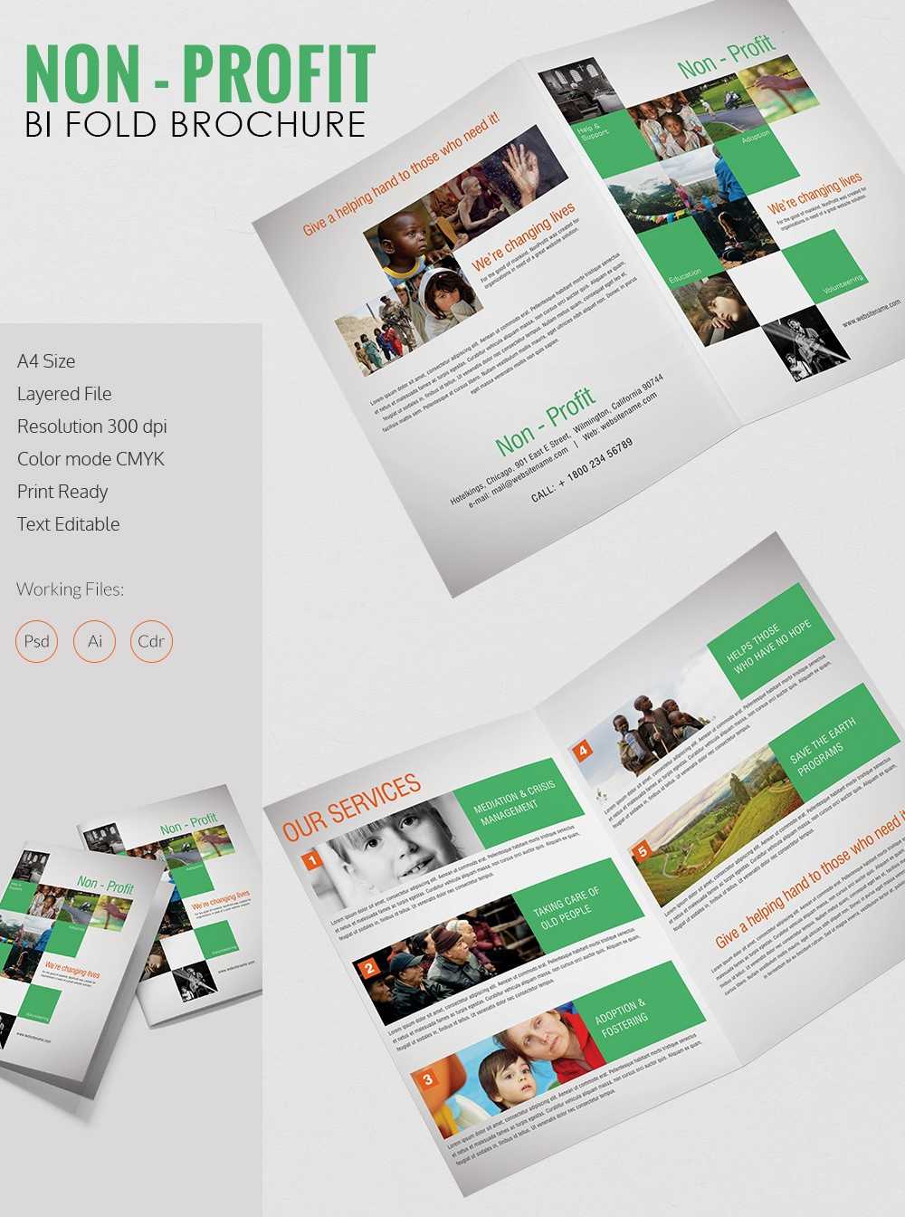 Non Profit Brochure Template Zrom Tk Ngo Templates Intended For Ngo Brochure Templates