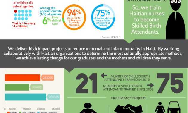 Nonprofit Annual Report As An Infographic (Summer Aronson for Non Profit Annual Report Template