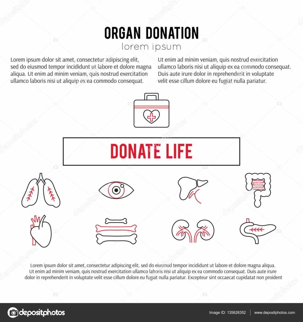 Organ Donation Template — Stock Vector © Julia Khimich Within Organ Donor Card Template