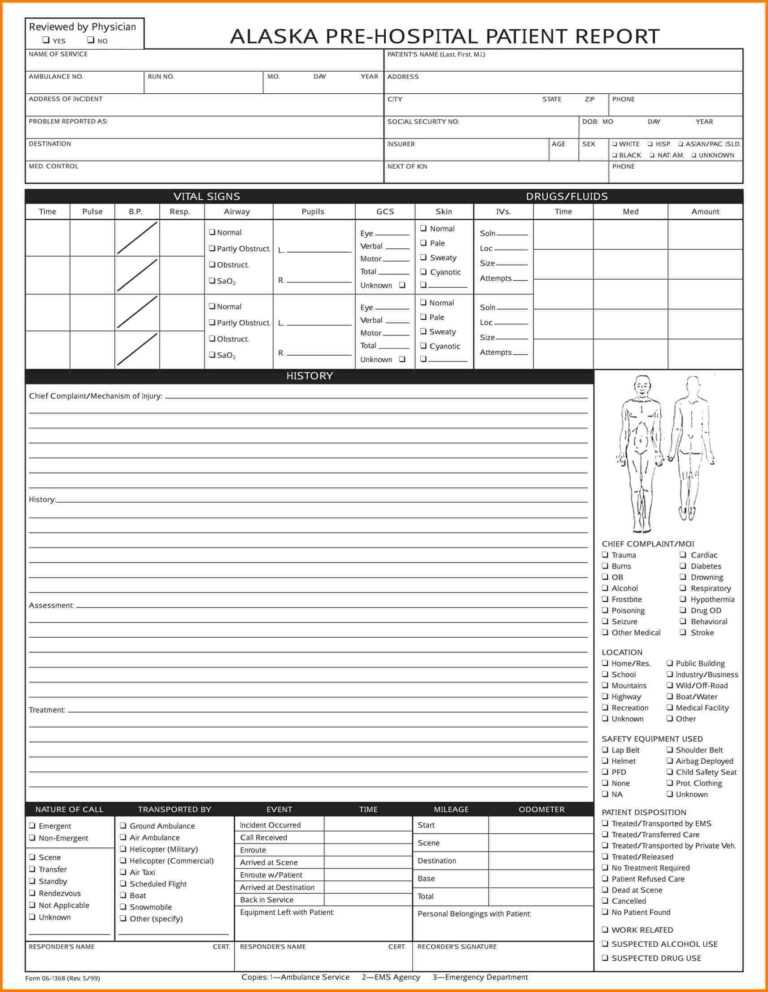 Patient Care Report Template