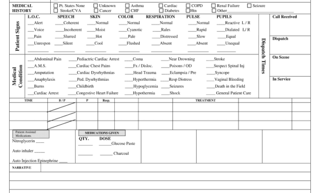 Patient Care Report Template Doc - Fill Online, Printable in Patient Care Report Template