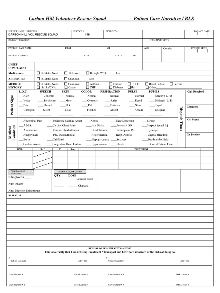 Patient Care Report Template Doc – Fill Online, Printable In Volunteer Report Template