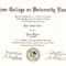 Pin On Fake University Certificates | Fake College Diploma In University Graduation Certificate Template