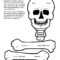 Pin On For The Classroom Throughout Skeleton Book Report Template