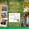 Pin On The Las Vegas Zoo With Regard To Zoo Brochure Template