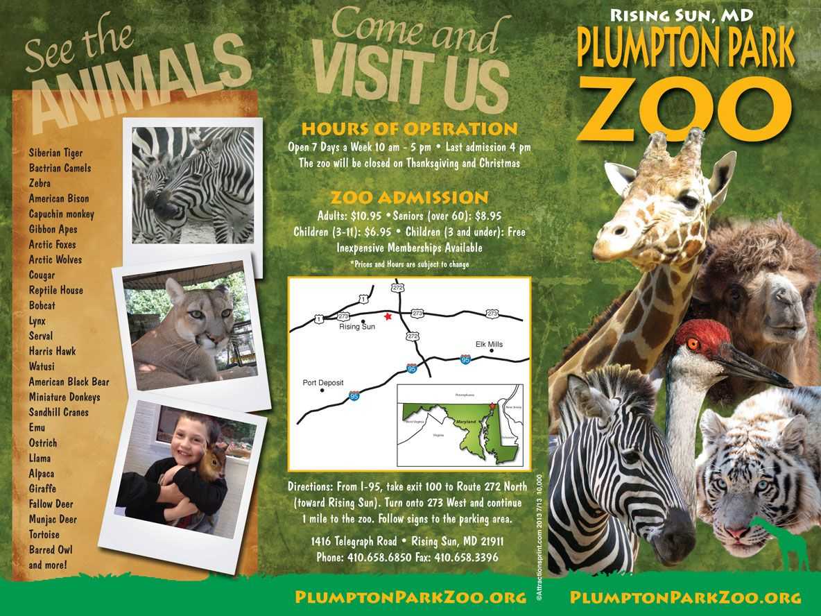 Pin On The Las Vegas Zoo With Regard To Zoo Brochure Template