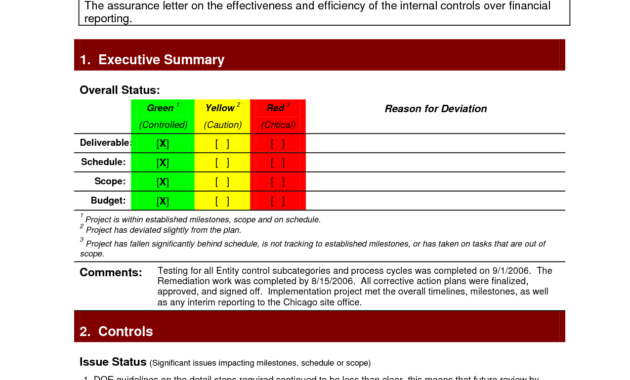 Pinlesedi Matlholwa On Templates | Project Status Report throughout Daily Project Status Report Template