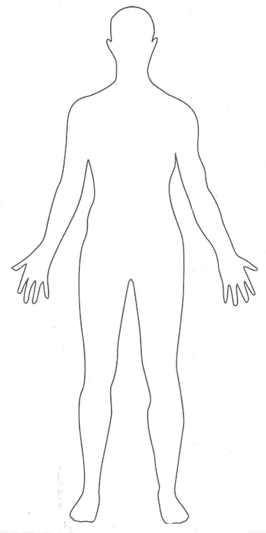 Pinrandy Sassmann On Images | Human Body Drawing, Body In Blank Body Map Template