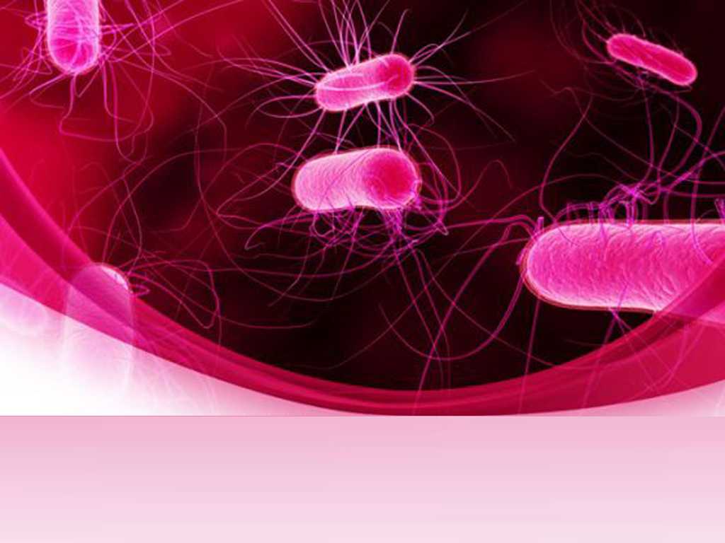 Powerpoint Bacteria Templates For Powerpoint Presentations For Virus Powerpoint Template Free Download