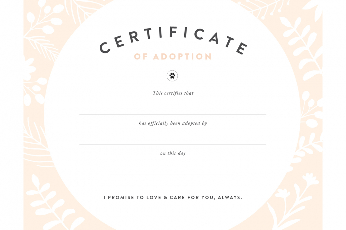 Pretty Fluffy Inside Blank Adoption Certificate Template Within Blank Adoption Certificate Template