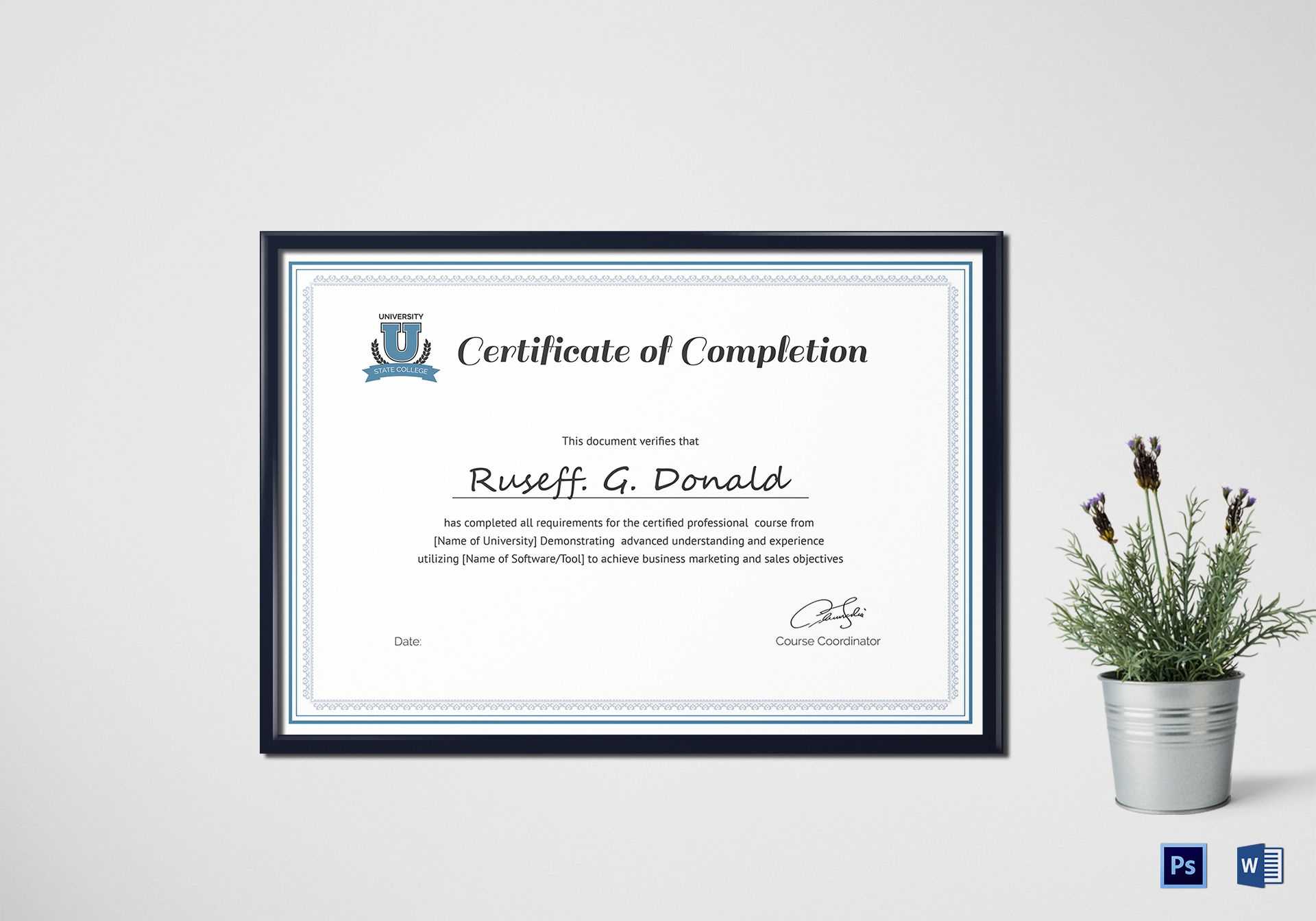 Professional Course Completion Certificate Template In Professional Certificate Templates For Word