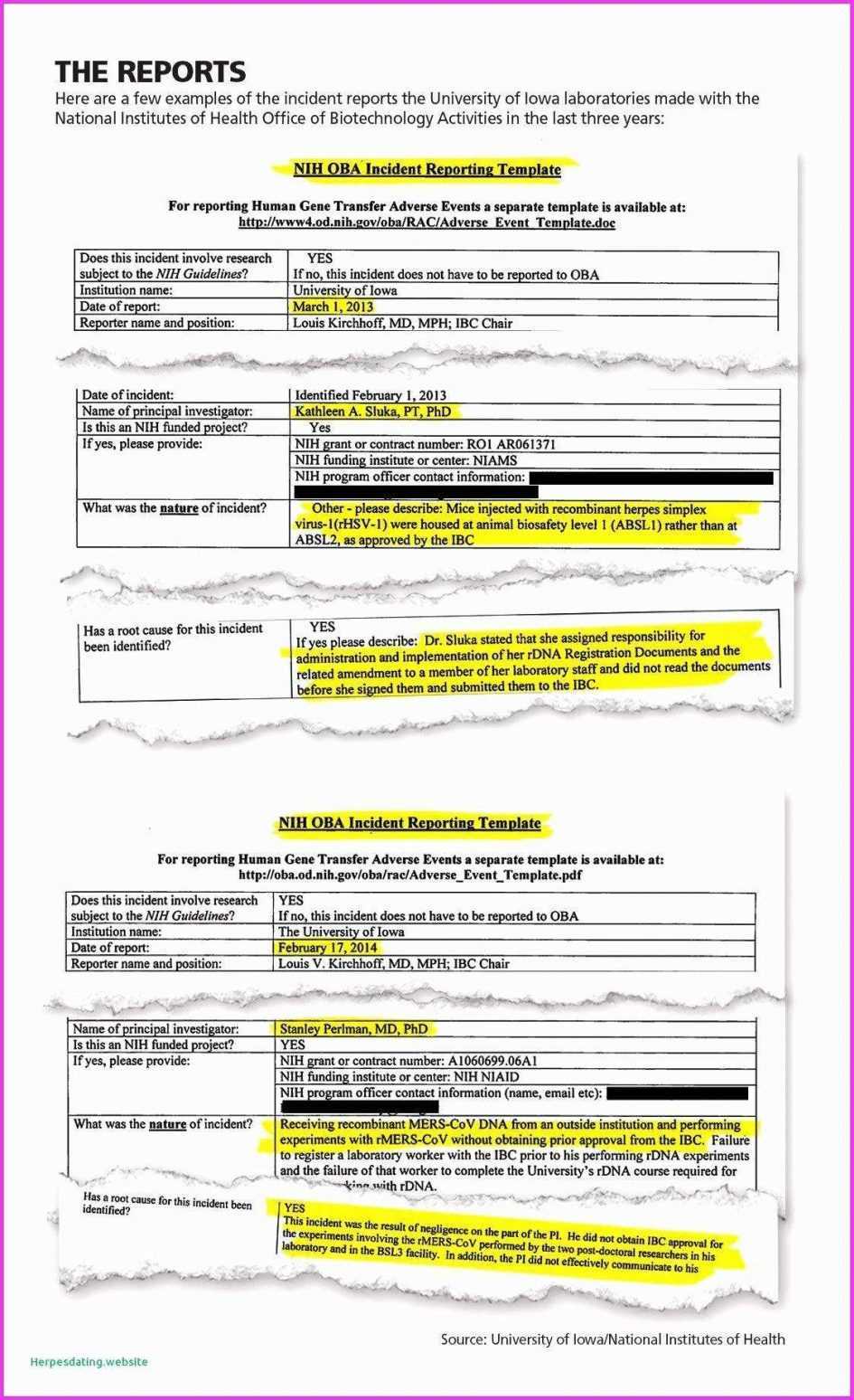 Project Management. Project Management Report Template In Simple Project Report Template