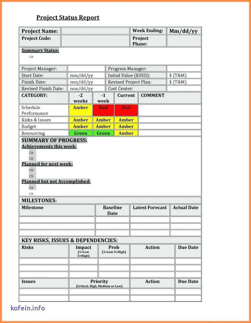 Project Management Report Example Weekly Status Template Ppt Intended For Project Weekly Status Report Template Excel