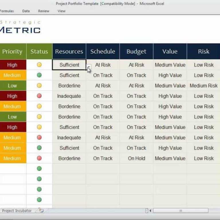 Portfolio Management Reporting Templates