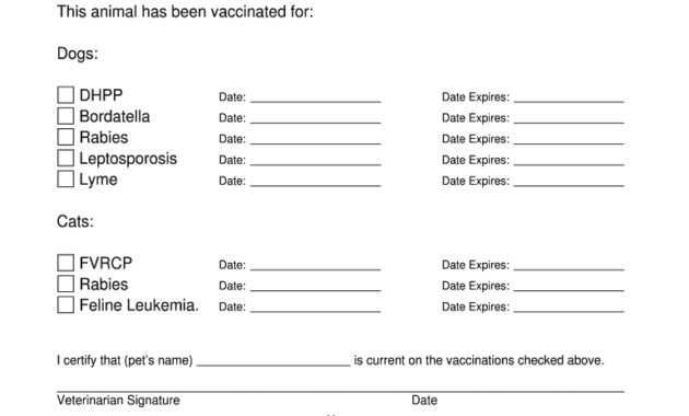 Proof Vaccination Dog - Fill Online, Printable, Fillable for Dog Vaccination Certificate Template