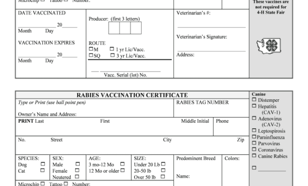 Rabies Vaccine Templates - Fill Online, Printable, Fillable throughout Rabies Vaccine Certificate Template