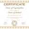 Sales Award Template. 50 Amazing Award Certificate Templates Pertaining To Sales Certificate Template