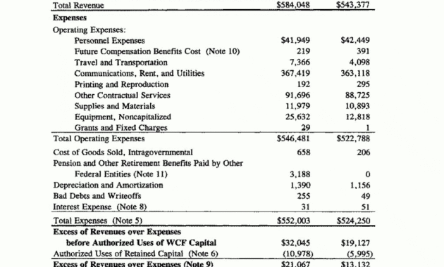 Sample Annual Financial Report Format Project Statement with regard to Credit Analysis Report Template